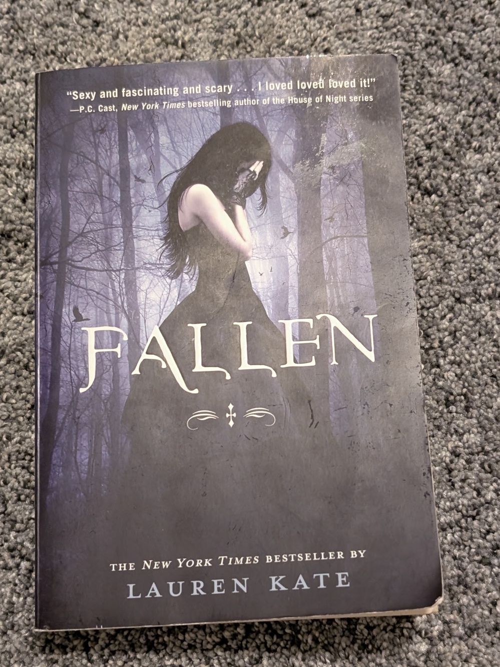 Fallen: Young Adult Romantasy